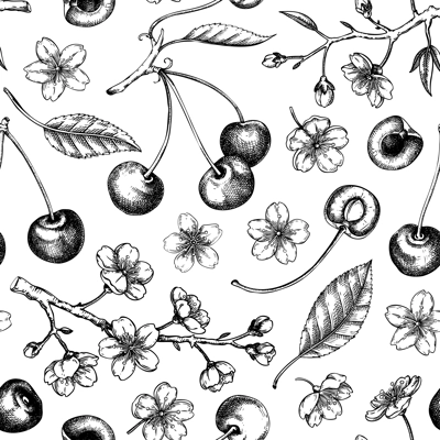 Cherry seamless pattern. Vintage spring background. Hand-drawn vector illustration. Sakura flowers in engraved style. NOT AI generated